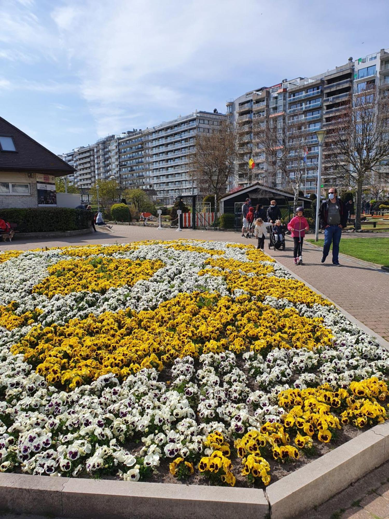 Beaulieu Lägenhet Blankenberge Rum bild